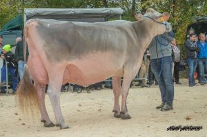 k-AR8I4462 Jongleur Soraya Vizeschneuter BV ltere Khe Franz Felder